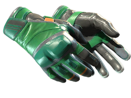 ★ Moto Gloves | Turtle (Well-Worn)