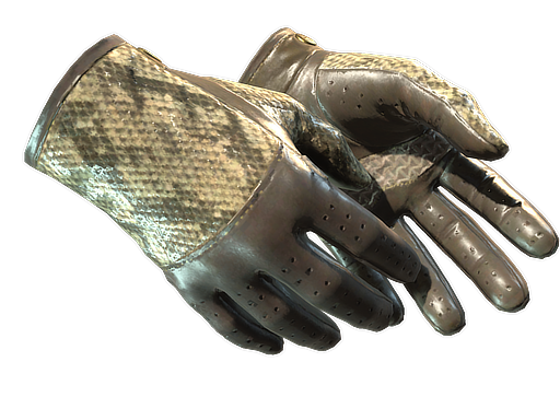 ★ Driver Gloves | Diamondback (Battle-Scarred)