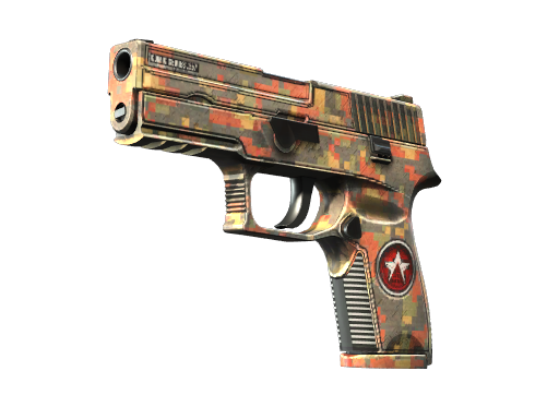 StatTrak™ P250 | Red Rock (Well-Worn)