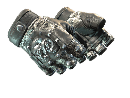 ★ Broken Fang Gloves | Unhinged (Well-Worn)