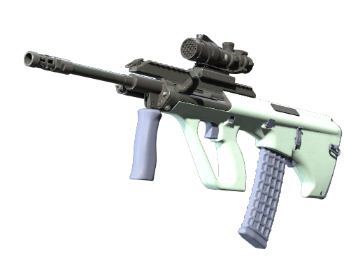 Souvenir AUG | Storm (Well-Worn)