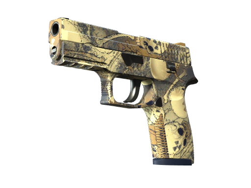 P250 | Contamination (Well-Worn)