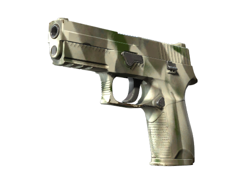 P250 | Bone Mask (Field-Tested)