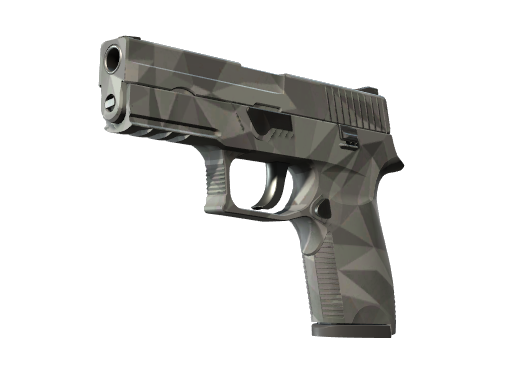 P250 | Facets (Field-Tested)