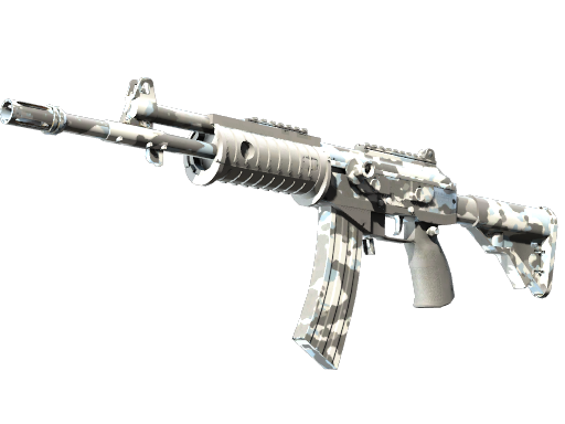 Galil AR | Winter Forest (Well-Worn)